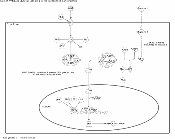 Role of WNT/GSK-3β Signaling in the Pathogenesis of Influenza