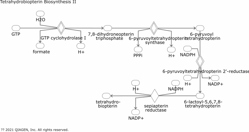 Tetrahydrobiopterin Biosynthesis II